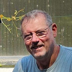 Vorstand